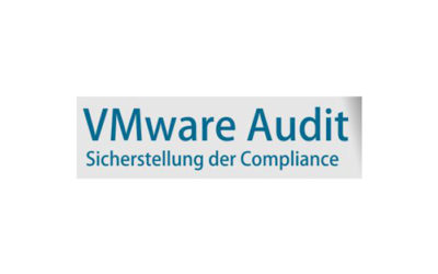 VMware Audit